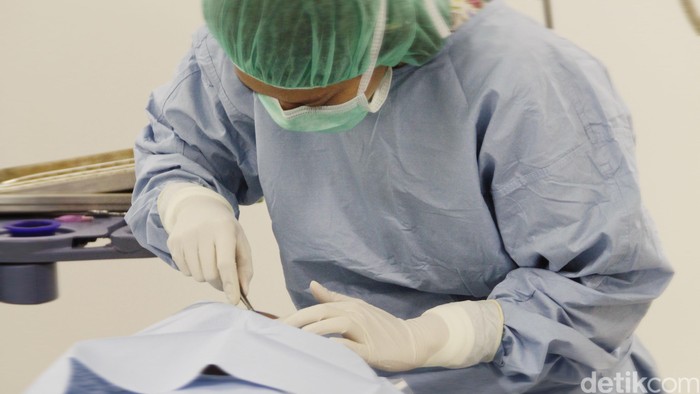 Dokter Bedah Dokter bedah diruang operasi.
dikhy sasra/ilustrasi/detikfoto