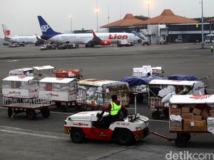 Tepatkah Langkah Pencopotan Direktur Teknik Lion Air?