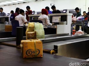 Trik! Ini Cara Supaya Koper Jadi yang Pertama Turun Pesawat