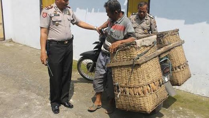 Demi Kebutuhan Hidup, Kakek ini Curi Rebung