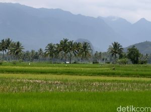 Nusron Tegaskan Siapa Saja yang Lakukan Alih Fungsi Lahan Sawah Bisa Dibui!