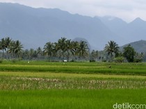 Nusron Tegaskan Siapa Saja yang Lakukan Alih Fungsi Lahan Sawah Bisa Dibui!
