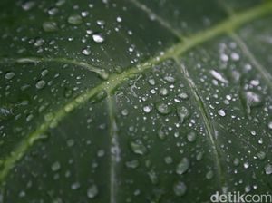 Perubahan Wujud Benda: Sifat, Faktor beserta Macamnya