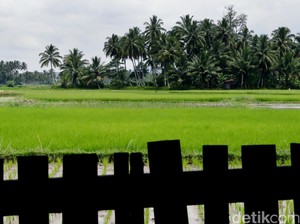 Marwah Baru Reforma Agraria