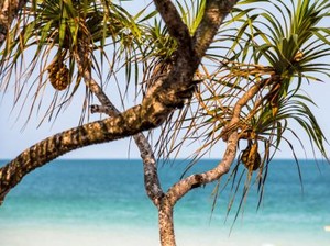 5 Kawasan Pantai Cantik di Vietnam