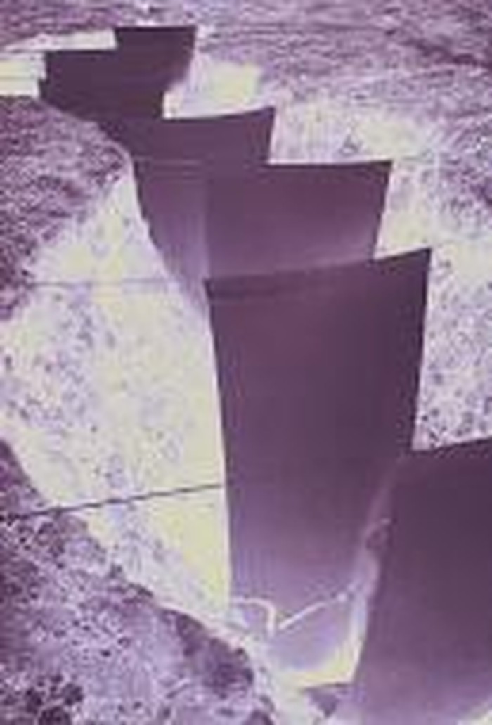 Menjelajahi Dunia Seni Singapura Di Akhir Pekan