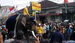 Kirab Ageng Jumeneng Dalem KGPAA Paku Alam X