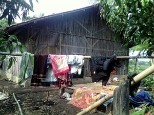 Ini Kisah Asep dan Keluarganya 8 Tahun Tinggal di Kandang Ayam di Cianjur
