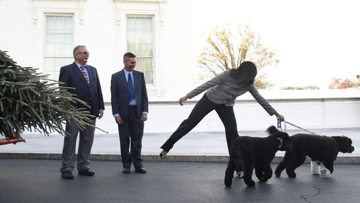 Secret Service Tangkap Pria AS yang Berniat Culik Anjing Keluarga Obama