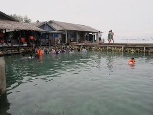 Tur Pelni Lets Go Karimun Jawa Diminati Turis
