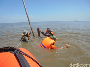 Satpol PP Cabuti Patok Liar di Pantai Timur Surabaya