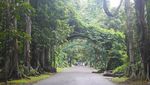 Tak Pernah Bosan ke Kebun Raya Bogor