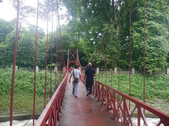 Kebun Raya Bogor, Jawa Barat