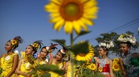 Selain menikmati keindahan taman, para pengunjung taman bunga matahari ini banyak menghabiskan waktu untuk berfoto ria. Athit Perawongmetha/Reuters/detikFoto.