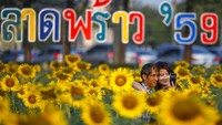 Pasangan kekasih ber Selfie ria saat berkunjung ke taman bunga Matahari tersebut. Athit Perawongmetha/Reuters/detikFoto.