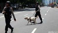 Anjing pelacak juga dikerahkan.