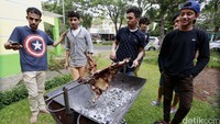 Para turis yang masih terlihat muda ini tampak tengah membakar kambing guling.