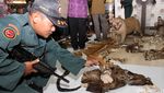 KLHK Amankan Kulit Hewan Langka