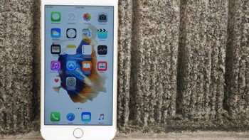 Pun begitu pemilik iPhone 6S dan 6S Plus masih bisa mencicipi fitur baru iOS 15 lainnya, seperti Notification Summary dan Focus. Mereka pun dapat berbagi video dan musik di FaceTime, serta paling penting fitur privasi dan keamanan. Foto: Anggoro Suryo Jati/detikINET