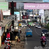 Melihat Budidaya Tawon Klanceng Di Purworejo 2238