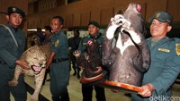 Petugas menunjukkan barang bukti. Pool/Lamhot Aritonang/detikFoto.