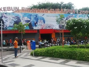 KBS Tetap Ramai Tak Tepengaruh Peristiwa Bom Jakarta