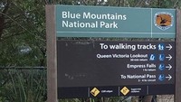 Blue Mountain sudah ditetapkan sebagai warisan budaya UNESCO tahun 2000. Ada air terjun juga di sini (Elvan/detikTravel)