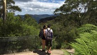 Wisatawan menikmati suasana hijau di Blue Mountain. Mereka bisa jogging, memanjat, atau hiking (Elvan/detikTravel)