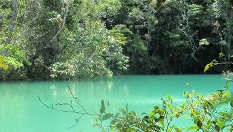 Telaga Biru Telaga Biru di Lembah Baliem, Papua