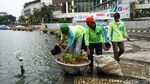 Perawatan Taman Bundaran HI
