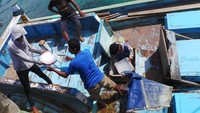 Ikan disimpan di tempat yang dingin bersama balok-balok es. Ketika kapal sandar, balok es pun dikeluaran terlebih dahulu sebelum memindahkan ikan. Para nelayan ini tetap semangat bekerja walau siang itu cukup terik (Kurnia/detikTravel)