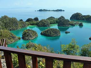 Pelni Berencana Beli Kapal Pesiar Layani Pulau Eskotik RI