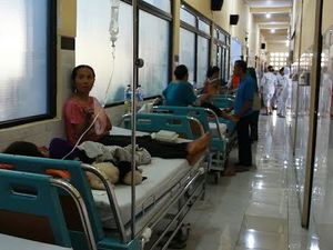 Antisipasi Demam Berdarah Dengue, ini Imbauan Menkes Nila