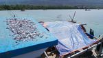 Semangat Para Nelayan di Buton