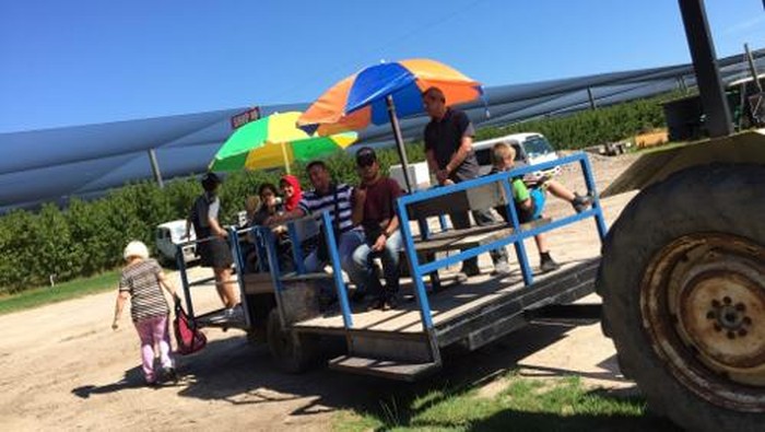 Canoeland, Seperti Ini Mekarsari-nya Australia