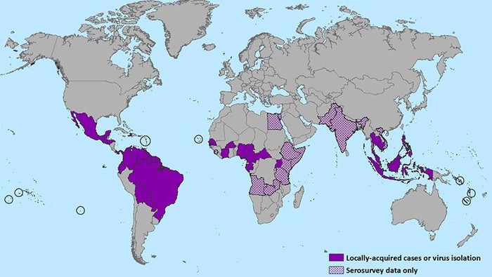 Infeksi Virus Zika Meluas, AS Keluarkan Panduan Bagi Ibu Hamil