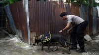 Anjing pelacak juga dikerahkan untuk melakukan penyisiran.