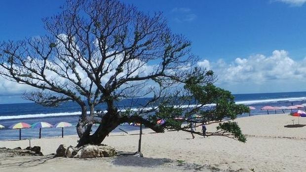 Pantai Pok Tunggal, Gunungkidul