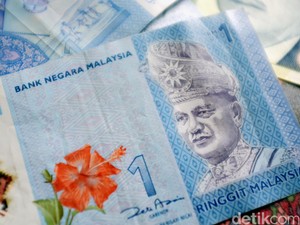 Kisah Mistis Driver Online Tak Sadar Dibayar Pakai Daun