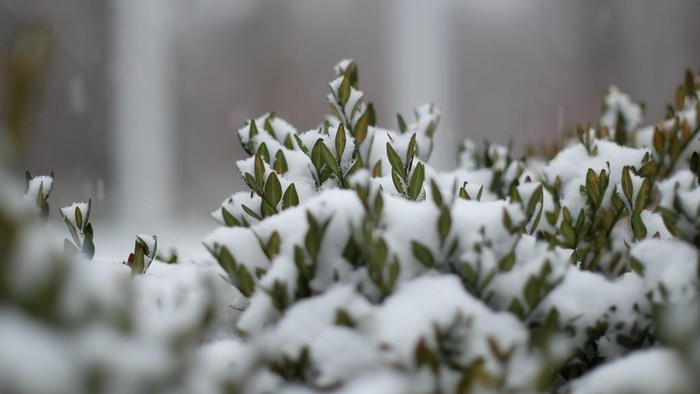 27 Anak Tewas Akibat Cuaca Dingin Ekstrem di Afghanistan