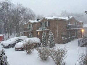 Dihantam Badai Salju, Kota New York Ditutup