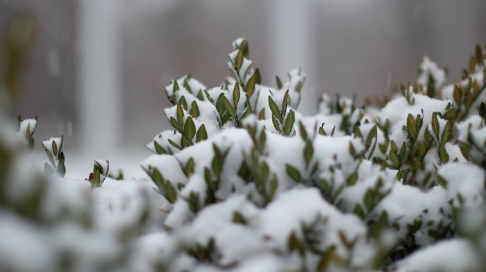 Cuaca Dingin Ekstrem di Afghanistan, Total 54 Orang Tewas