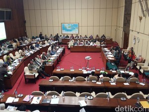 Dikhawatirkan Jadi Seperti Sanusi, Komisi IV DPR: Ahok Jangan Menuduh