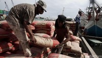 Dua orang pekerja menata puluhan sak semen di atas truk.