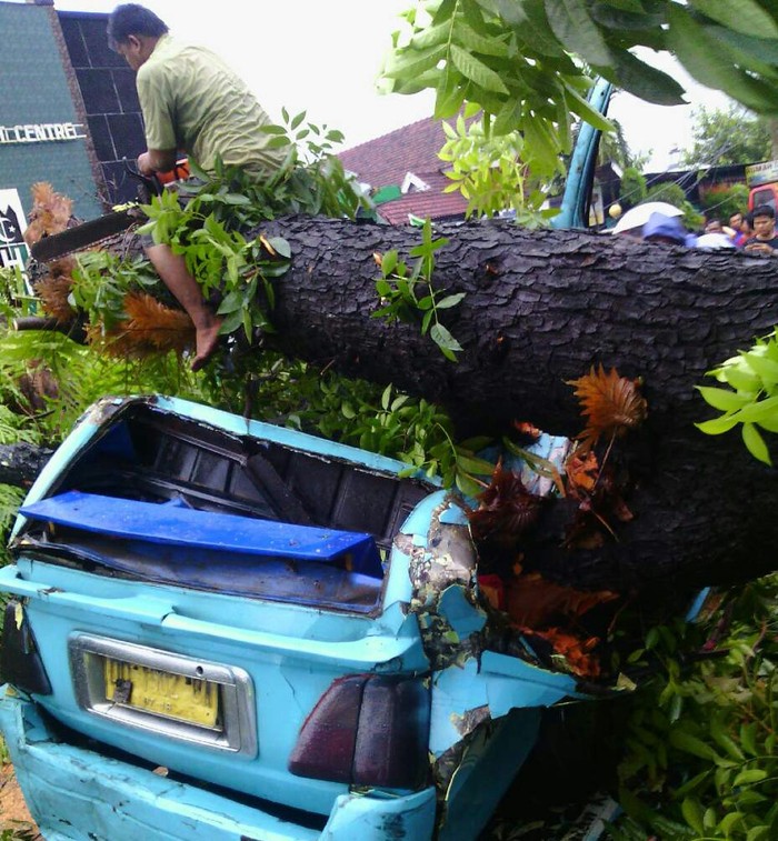 Angkot Tertimpa Pohon di Makassar, Seorang Penumpang Tewas