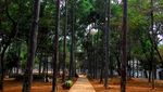 Yang Hijau di Jakarta Selatan, Taman Kota Tebet
