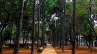Tak ada sampah yang terlihat bercecer kala detikTravel melancong ke sini. Mungkin salah satunya karena banyak tempat sampah yang disediakan di taman ini. Mulai dari tempat sampah berbentuk normal, sampai berbentuk hewan yang lucu (Shafa/detiktravel)