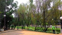 Para pekerja pun sigap membersihkan dan merapikan taman. Sehingga pengunjung bisa nyaman bermain dan menghabiskan waktu di sini (Shafa/detiktravel)