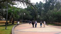 Taman ini mulai dilirik wisatawan lagi karena telah dirapikan dan ditata ulang oleh Gubernur Jakarta, Ahok beberapa waktu lalu. Kini, meski hari kerja, banyak pengunjung yang menghabiskan waktu di taman (Shafa/detiktravel)