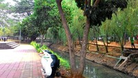 Hijaunya pepohonan membuat wisatawan betah berlama-lama di sini. Apalagi saat siang hari kala mentari sedang bersinar terlalu pijar. Sejuk! Ujar para pengunjung yang datang (Shafa/detiktravel)